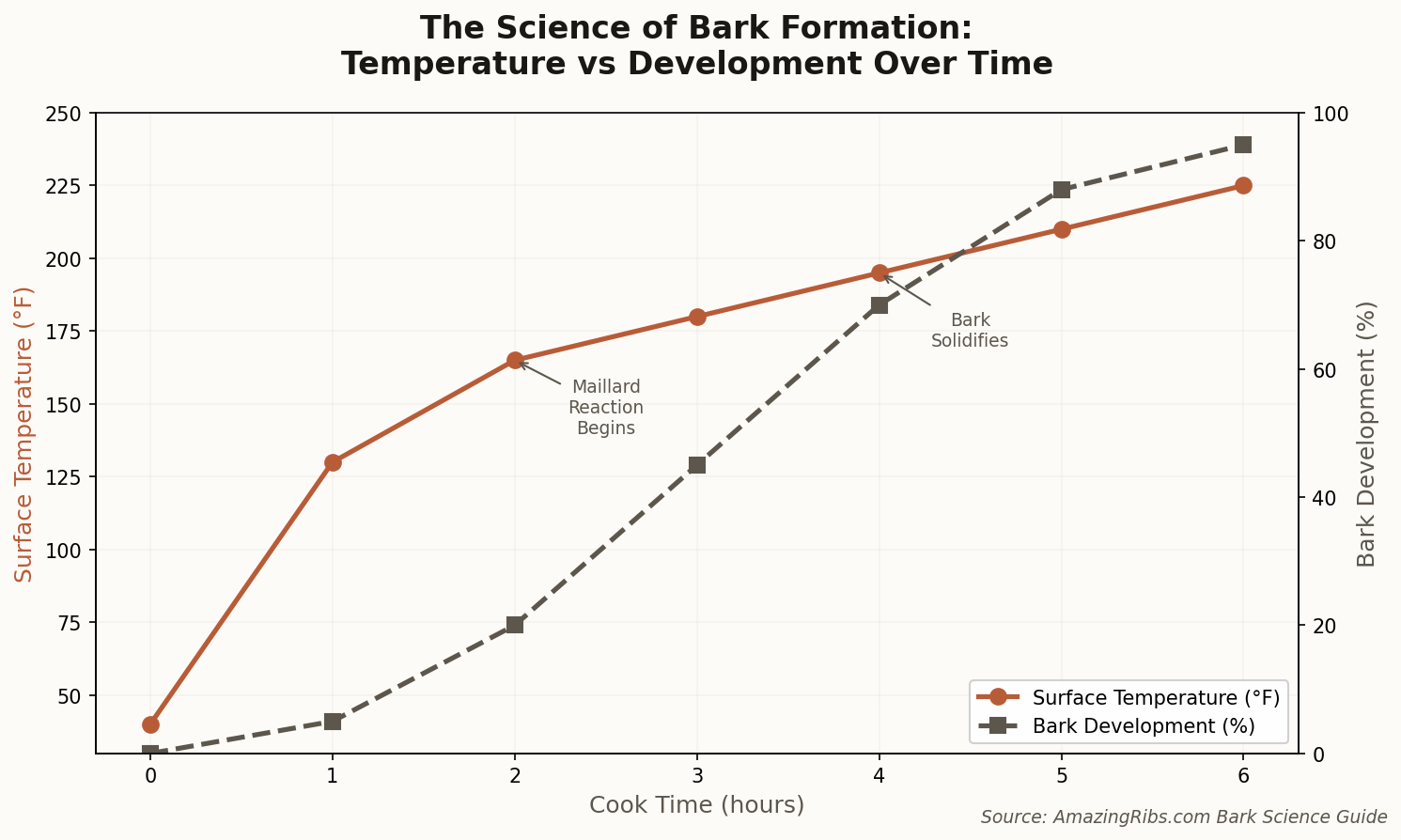 Line chart showing surface temperature and bark development over 6 hours, with annotations for Maillard reaction beginning and bark solidification