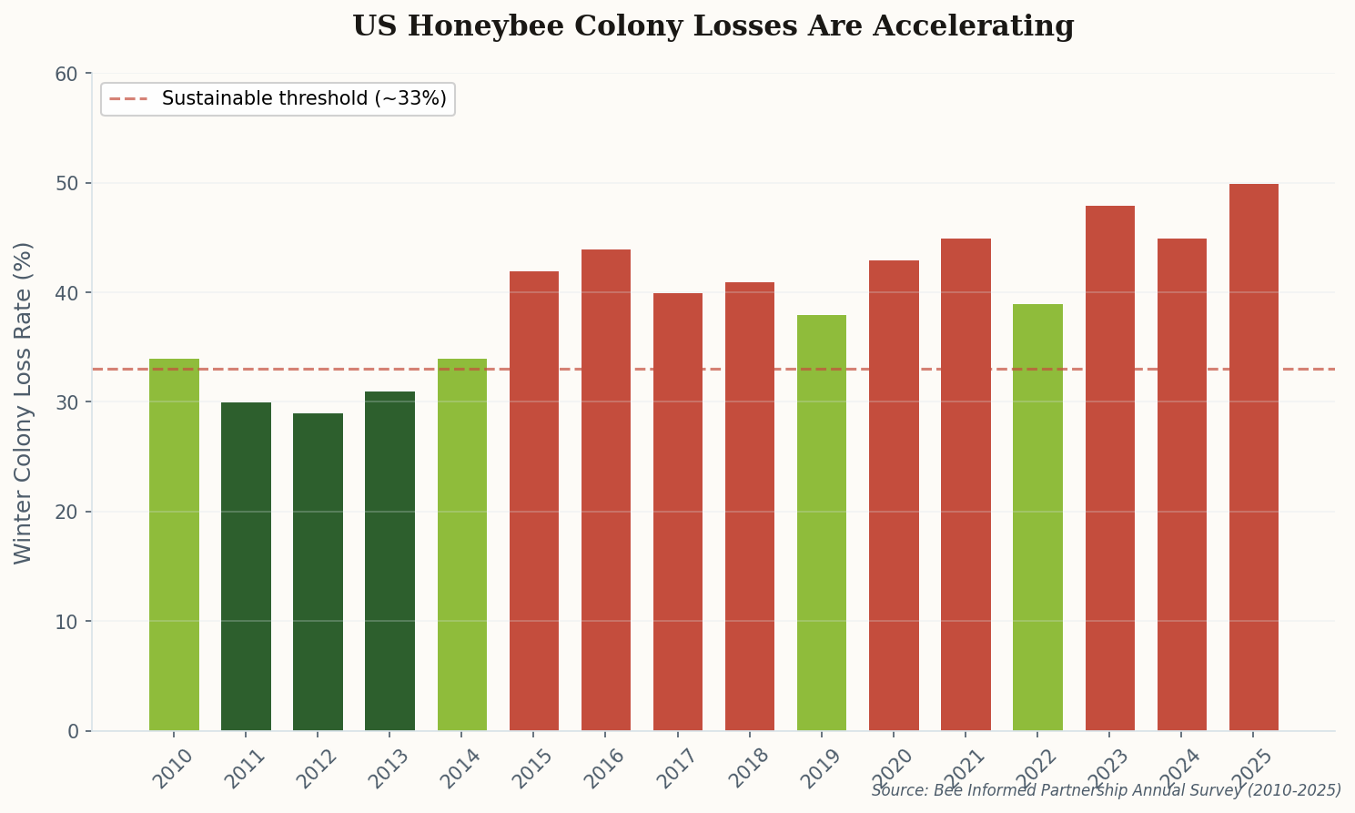 Bar chart showing US honeybee winter colony loss rates from 2010 to 2025, with losses accelerating above the 33% sustainable threshold