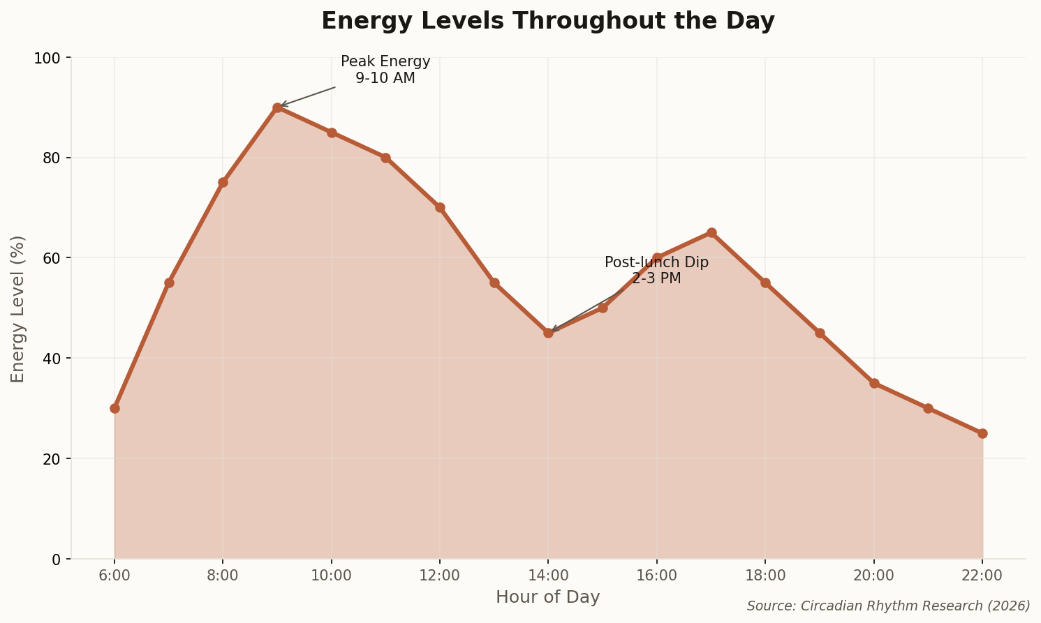 Chart showing energy levels throughout the day, with peaks in mid-morning and dips in early afternoon