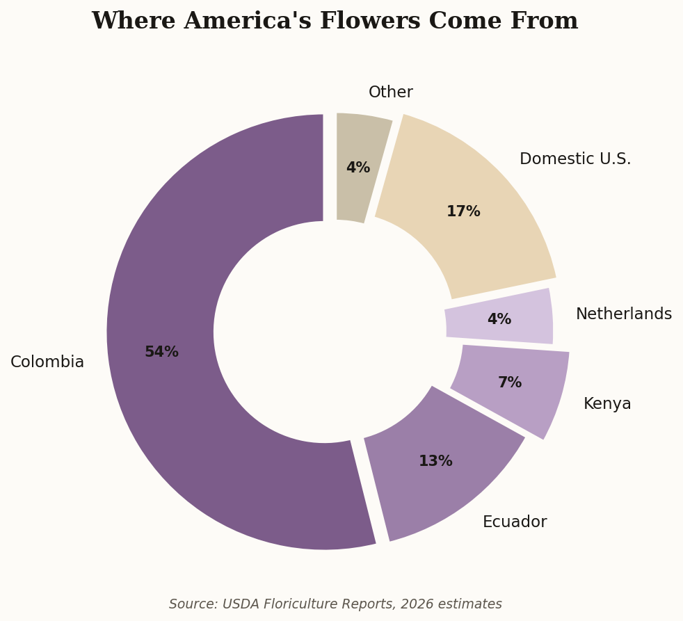 Donut chart showing where America's flowers come from: Colombia 62%, Ecuador 15%, Kenya 8%, and others