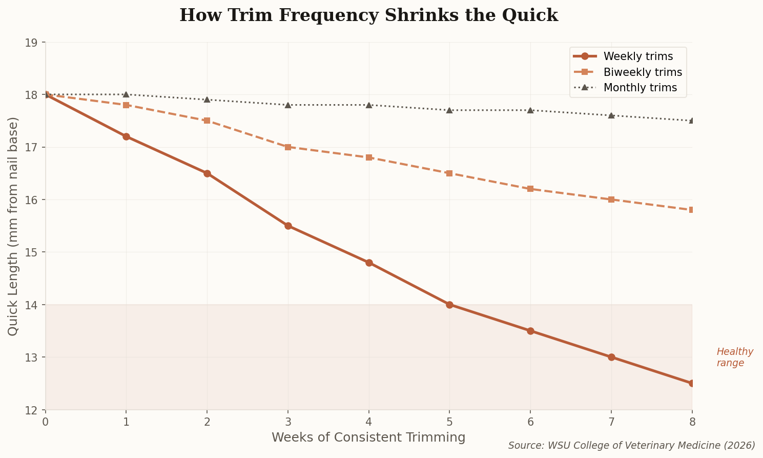 Line chart illustrating how weekly trimming causes the quick to recede over 8 weeks, compared to biweekly and monthly trimming