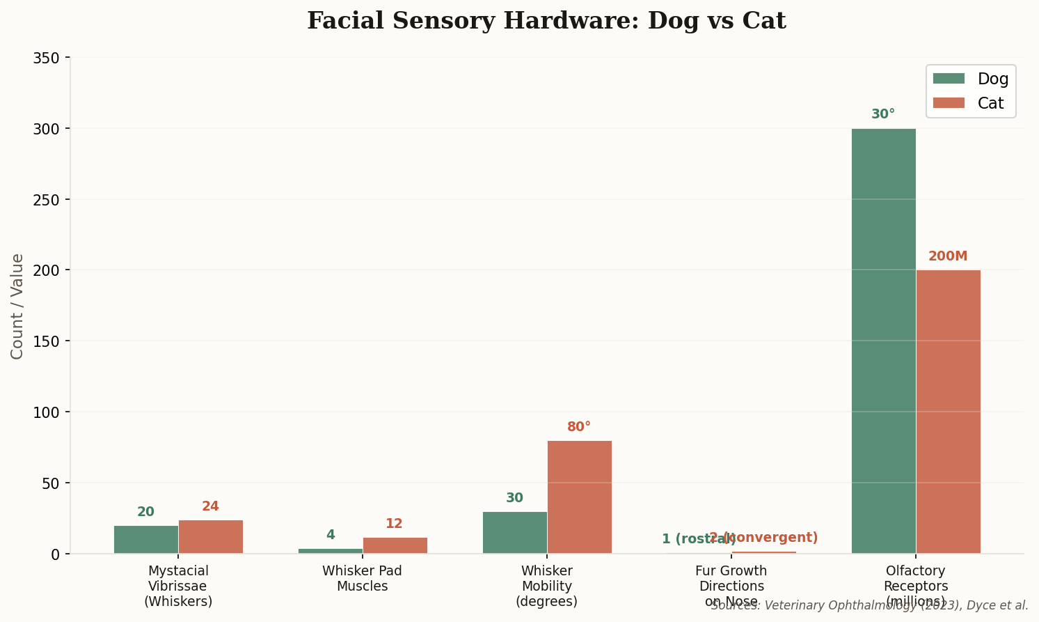 Bar chart comparing facial sensory hardware between dogs and cats: whisker count, muscle count, mobility range, fur directions, and olfactory receptors