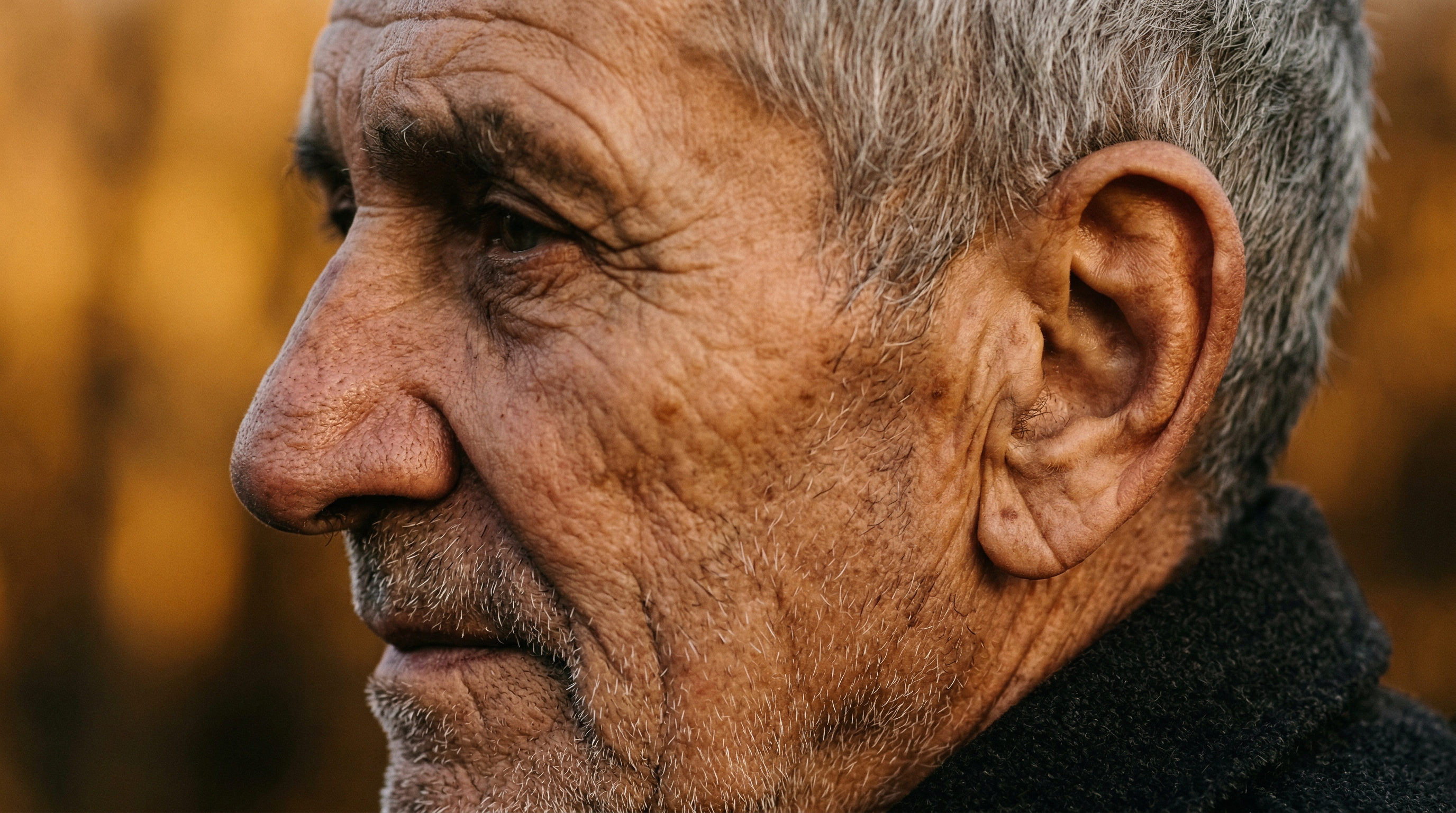 Close-up portrait of weathered facial features in warm golden light, showing the textured cartilage of nose and ears that tell stories of time