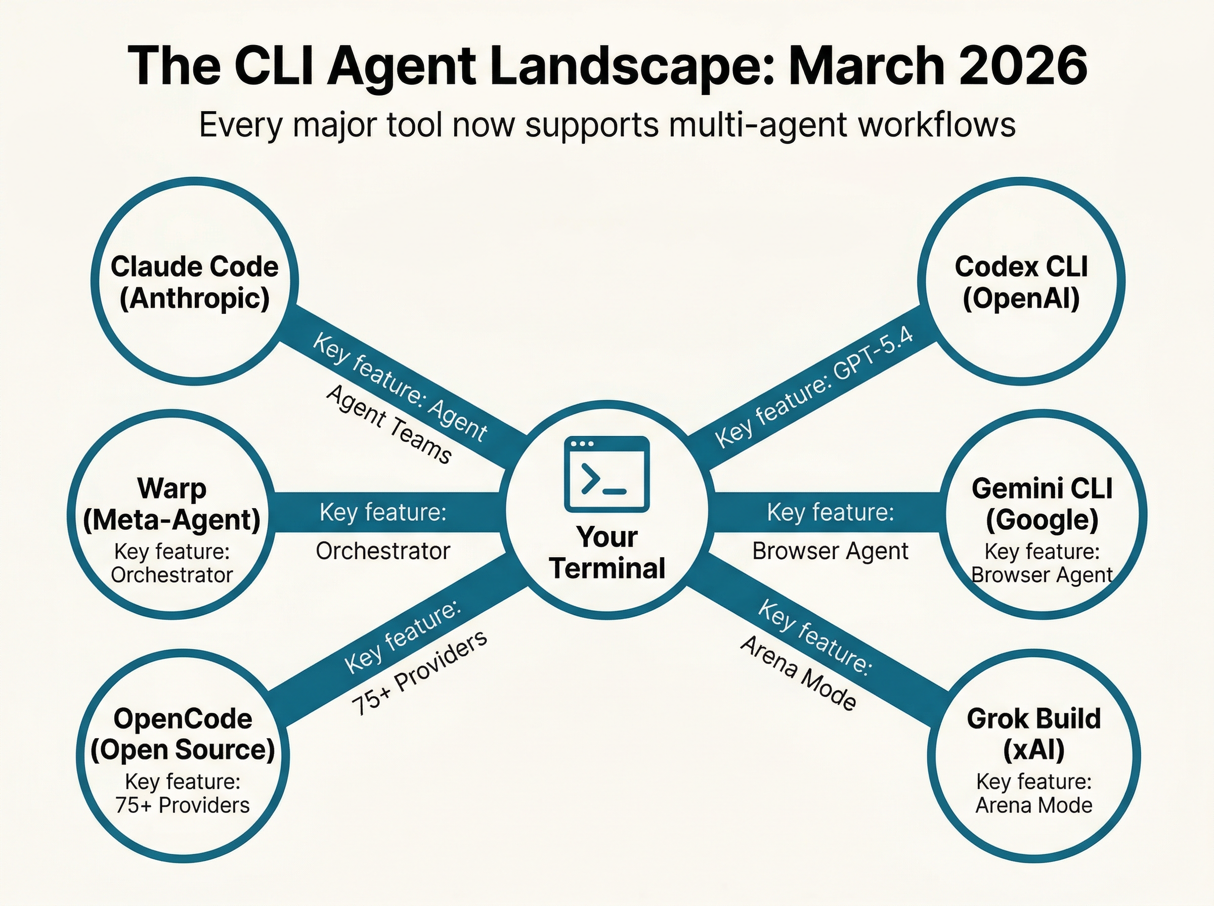 Infographic showing the CLI agent landscape in March 2026, with the terminal at the center connected to six major tools: Claude Code, Codex CLI, Gemini CLI, Grok Build, OpenCode, and Warp
